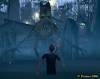 walking-tree-in-swamp.jpg