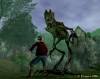 walking-trees-look.jpg