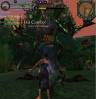 Screen_Shot023.jpg