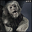 AmeliaWarskull's Avatar