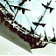 Nell21's Avatar