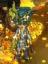 Capt. Guster's Avatar