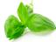 Basil Chipparr's Avatar