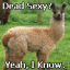 SonnyDay's Avatar