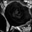 BlackRose's Avatar