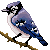 melodizing's Avatar