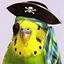 nat sharkskull's Avatar