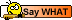 Saywhat