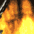 firegun01's Avatar
